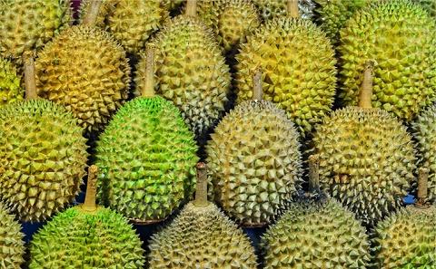 马来西亚猫山王水果榴莲进口报关申报手续及操作流程步骤是什么？